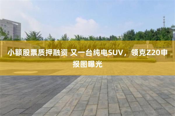 小额股票质押融资 又一台纯电SUV，领克Z20申报图曝光