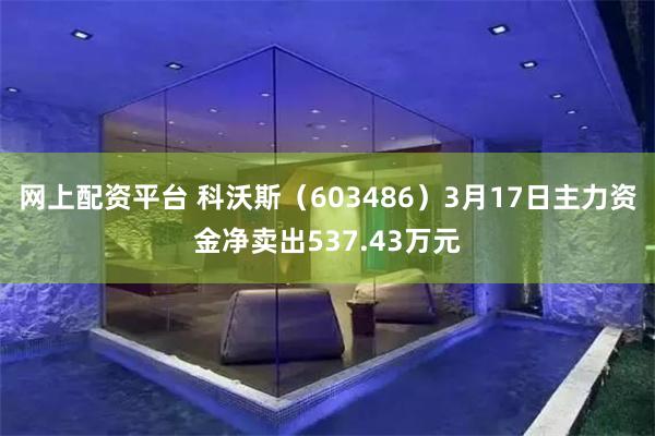 网上配资平台 科沃斯（603486）3月17日主力资金净卖出537.43万元