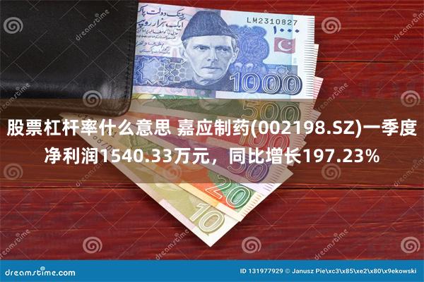 股票杠杆率什么意思 嘉应制药(002198.SZ)一季度净利润1540.33万元，同比增长197.23%