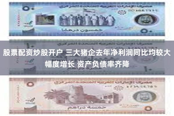 股票配资炒股开户 三大猪企去年净利润同比均较大幅度增长 资产负债率齐降