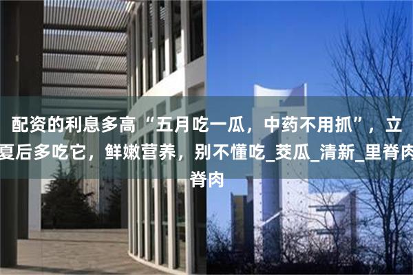配资的利息多高 “五月吃一瓜，中药不用抓”，立夏后多吃它，鲜嫩营养，别不懂吃_茭瓜_清新_里脊肉