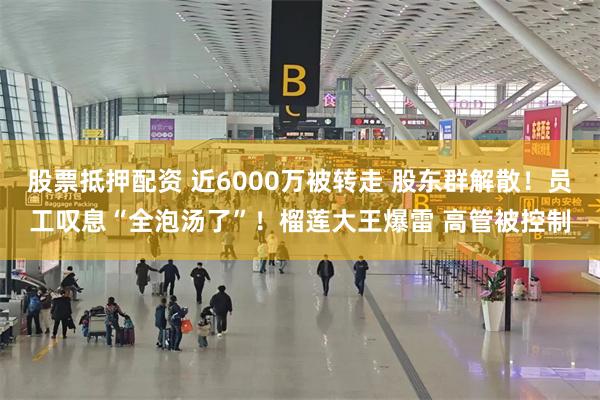 股票抵押配资 近6000万被转走 股东群解散！员工叹息“全泡汤了”！榴莲大王爆雷 高管被控制