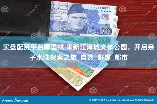 实盘配资平台哪里找 来新江湾城文体公园，开启亲子水陆探索之旅_自然_野趣_都市