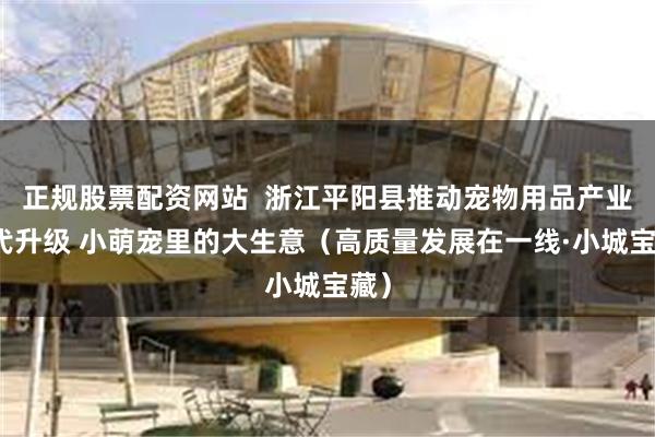 正规股票配资网站  浙江平阳县推动宠物用品产业迭代升级 小萌宠里的大生意（高质量发展在一线·小城宝藏）