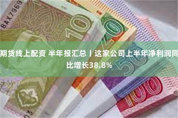 期货线上配资 半年报汇总丨这家公司上半年净利润同比增长38.8%