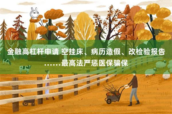 金融高杠杆申请 空挂床、病历造假、改检验报告……最高法严惩医保骗保
