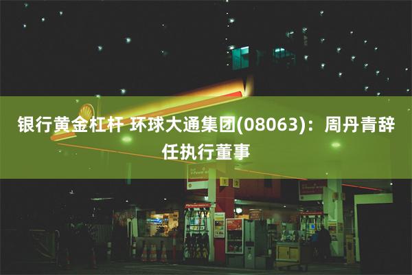 银行黄金杠杆 环球大通集团(08063)：周丹青辞任执行董事