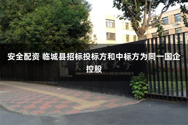 安全配资 临城县招标投标方和中标方为同一国企控股
