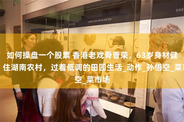 如何操盘一个股票 香港老戏骨曹荣，63岁身材健硕，住湖南农村，过着低调的田园生活_动作_孙悟空_菜市场