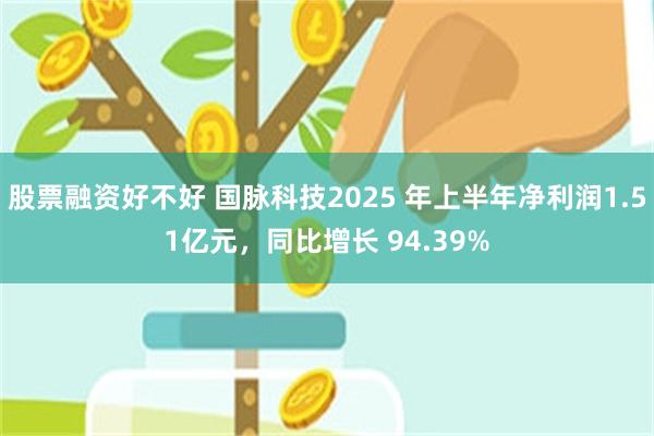 股票融资好不好 国脉科技2025 年上半年净利润1.51亿元，同比增长 94.39%