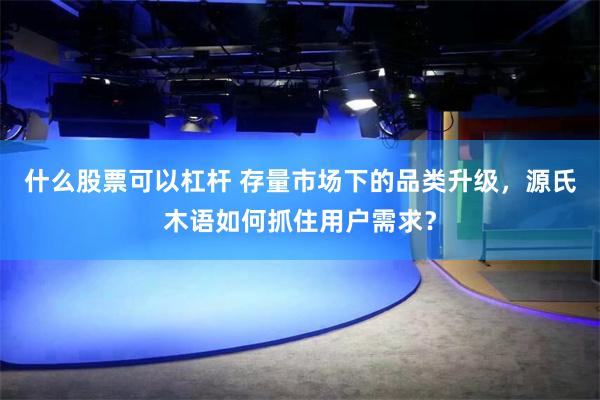 什么股票可以杠杆 存量市场下的品类升级，源氏木语如何抓住用户需求？
