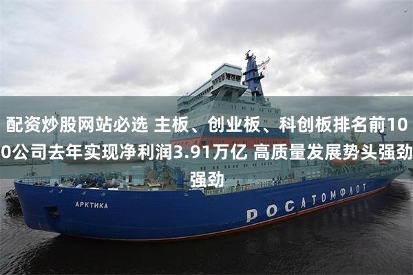 配资炒股网站必选 主板、创业板、科创板排名前100公司去年实现净利润3.91万亿 高质量发展势头强劲